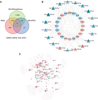 Integrated Analysis of Competitive Endogenous RNA Networks in Acute Ischemic Stroke